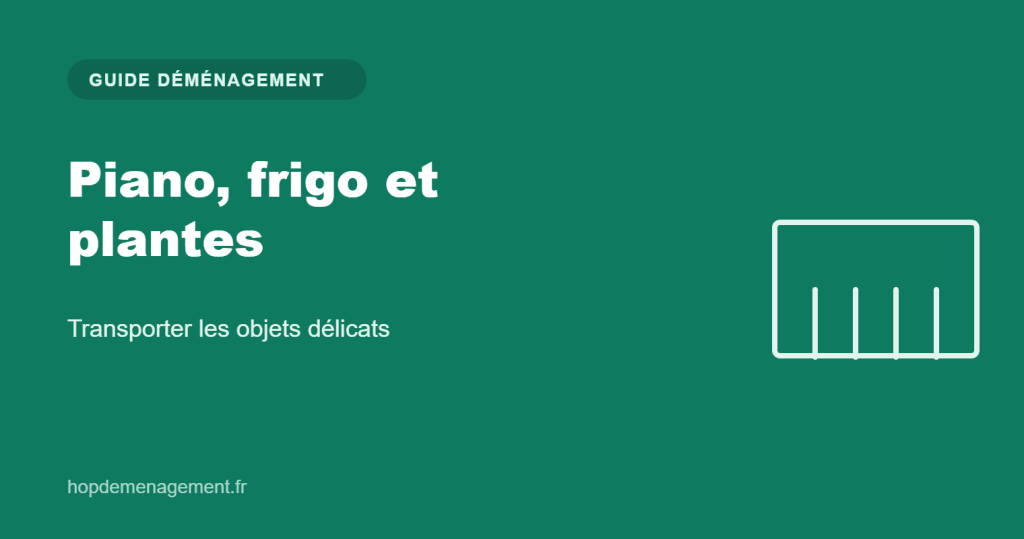 Déménager piano, frigo et plantes — guide